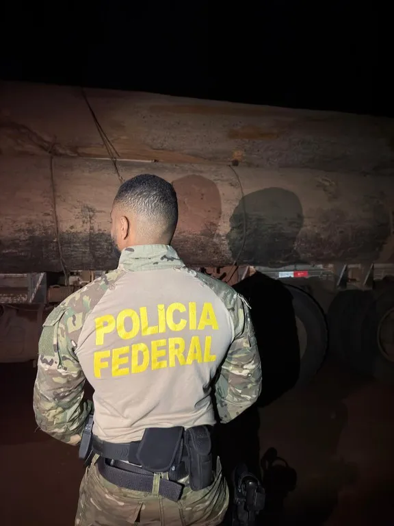PF faz prisões por transporte ilegal de madeira