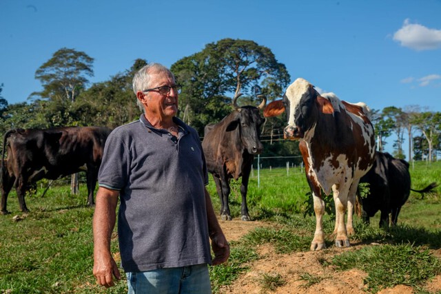 Vacas produzem mais leite em Rondônia com alimentação diferenciada e mudam realidade do campo