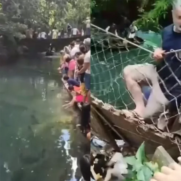 Veja momento em que ponte desaba e deixa feridos durante café em Candeias do Jamari, RO