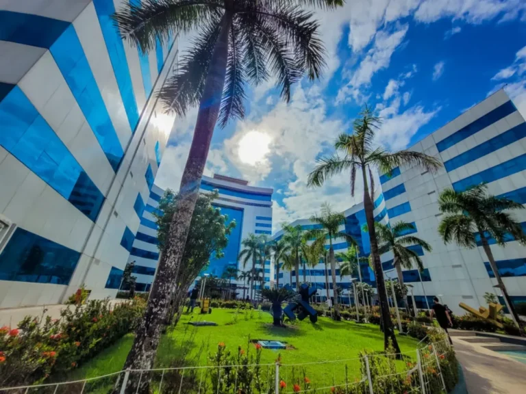 Decreto estabelece ponto facultativo no Carnaval 2026 e garante continuidade dos serviços essenciais