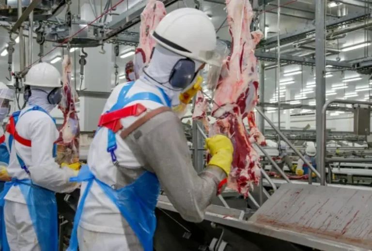 Vilhena tem 37 vagas abertas e Rondônia soma mais de 2,3 mil oportunidades de emprego nesta semana