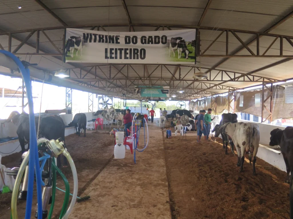 Alagada abre vantagem de 9,4 quilos e Concurso Leiteiro da Expocol distribui mais de R$ 100 mil em premiações