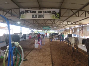 Alagada abre vantagem de 9,4 quilos e Concurso Leiteiro da Expocol distribui mais de R$ 100 mil em premiações