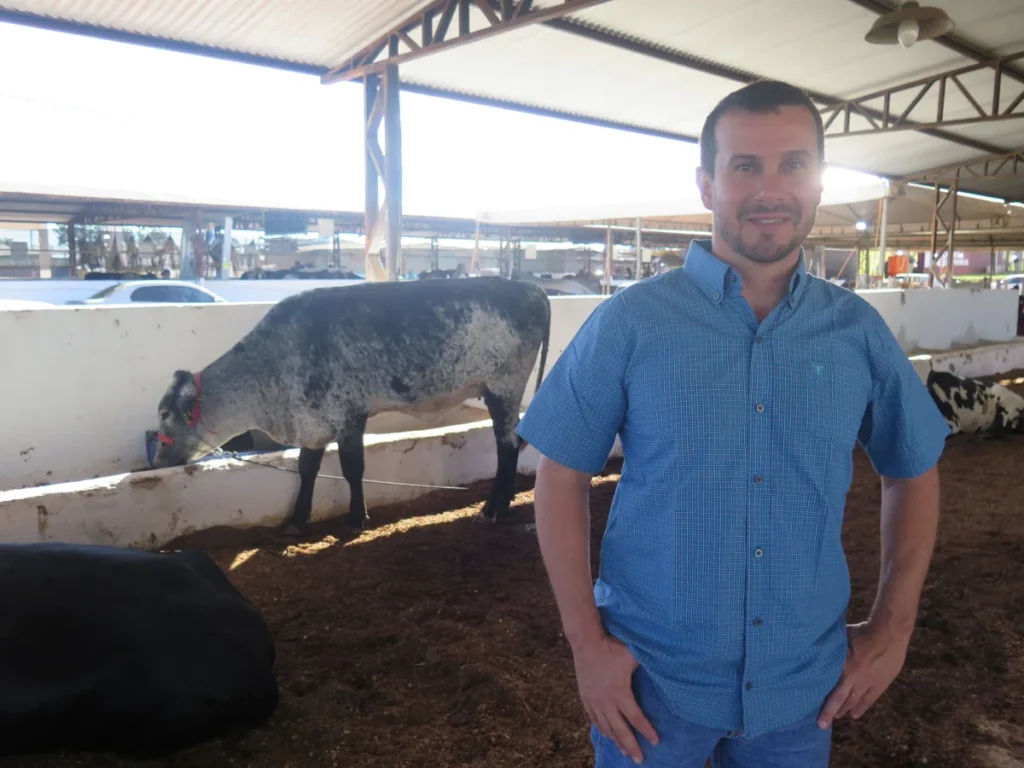 Julgamento de Bezerras Girolando destaca genética e potencial produtivo na 38ª Expocol