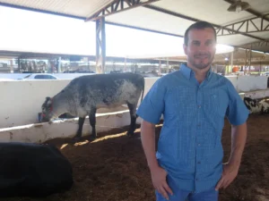 Julgamento de Bezerras Girolando destaca genética e potencial produtivo na 38ª Expocol