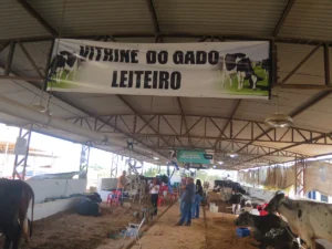 Concurso Leiteiro da 38ª Expocol comprova excelência genética e força da pecuária leiteira do Cone Sul