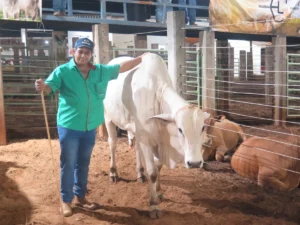 Genética Rancho Verde destaca qualidade dos animais e importância da Expocol para o fortalecimento da pecuária regional